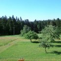 Foresta Nera Alpi  Luglio